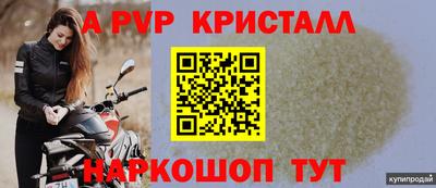 молекула духа Будённовск