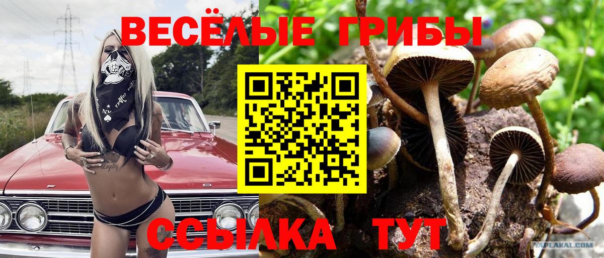 Орехово-Зуево  Галлюциногенные грибы Magic Shrooms  Вход с VPN 